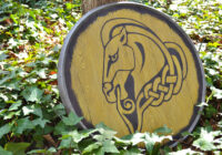 Shield_Medium_2